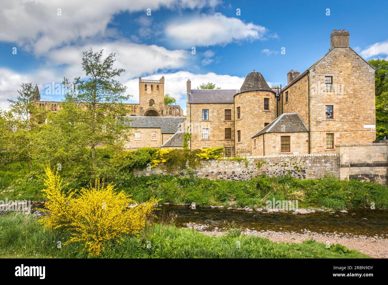 Ruines de l'abbaye de Jedburgh sur la rivière Jed Water, Jedburgh, Scottish Borders, Écosse, Royaume-Uni Banque D'Images