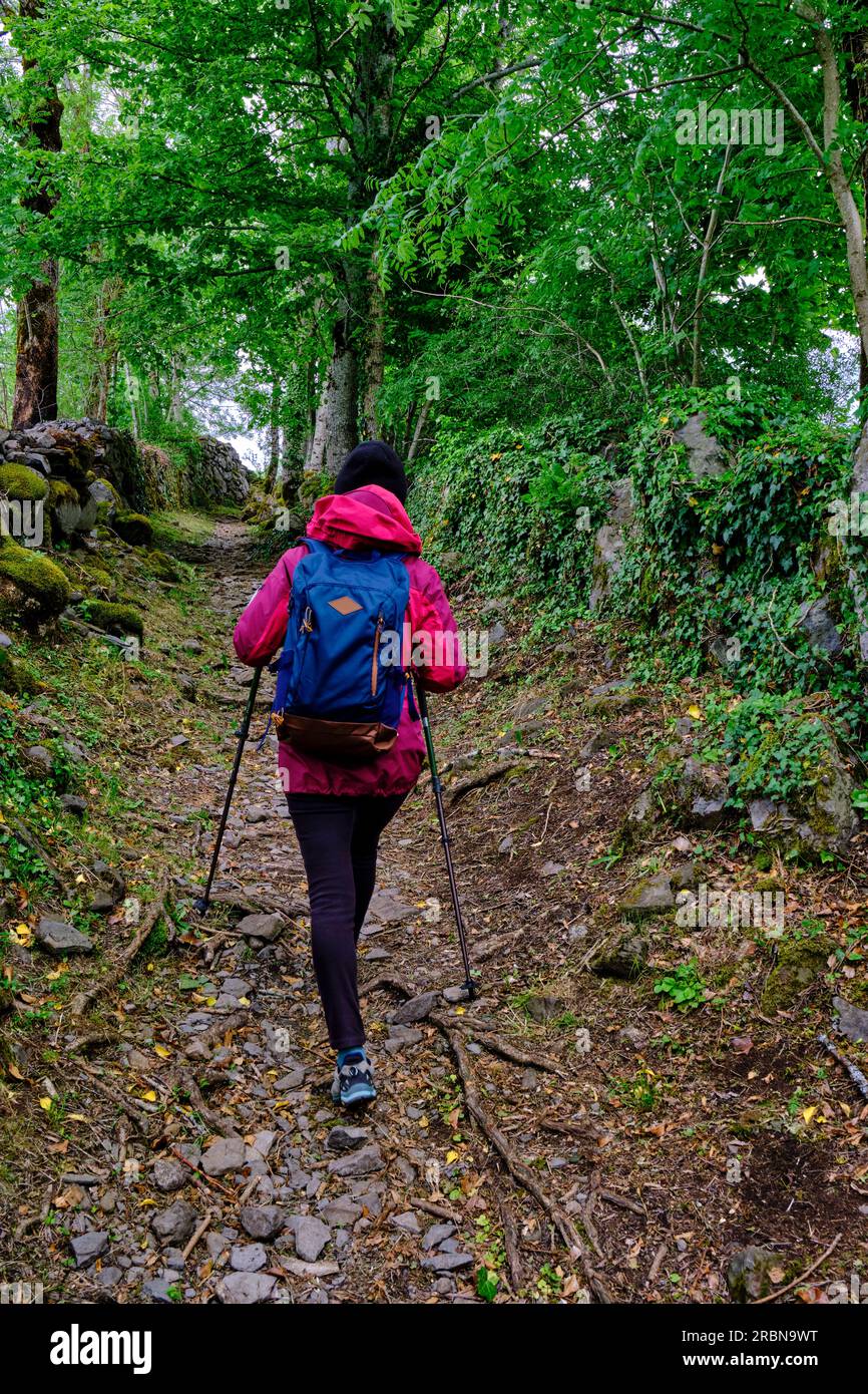 France, Cantal, Parc naturel régional des Volcans d'Auvergne, Salers, labellisé les plus beaux villages de France, Trail de la Montagnoune Banque D'Images
