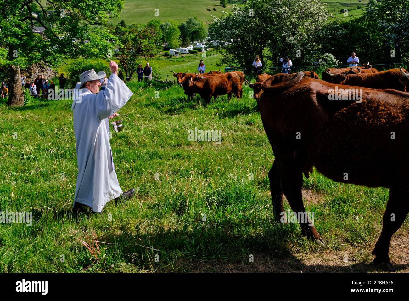 France, Cantal, Allanche, Parc naturel régional des Volcans d'Auvergne, plateau du Cézallier, fête des pâturages, bénédiction des troupeaux Banque D'Images