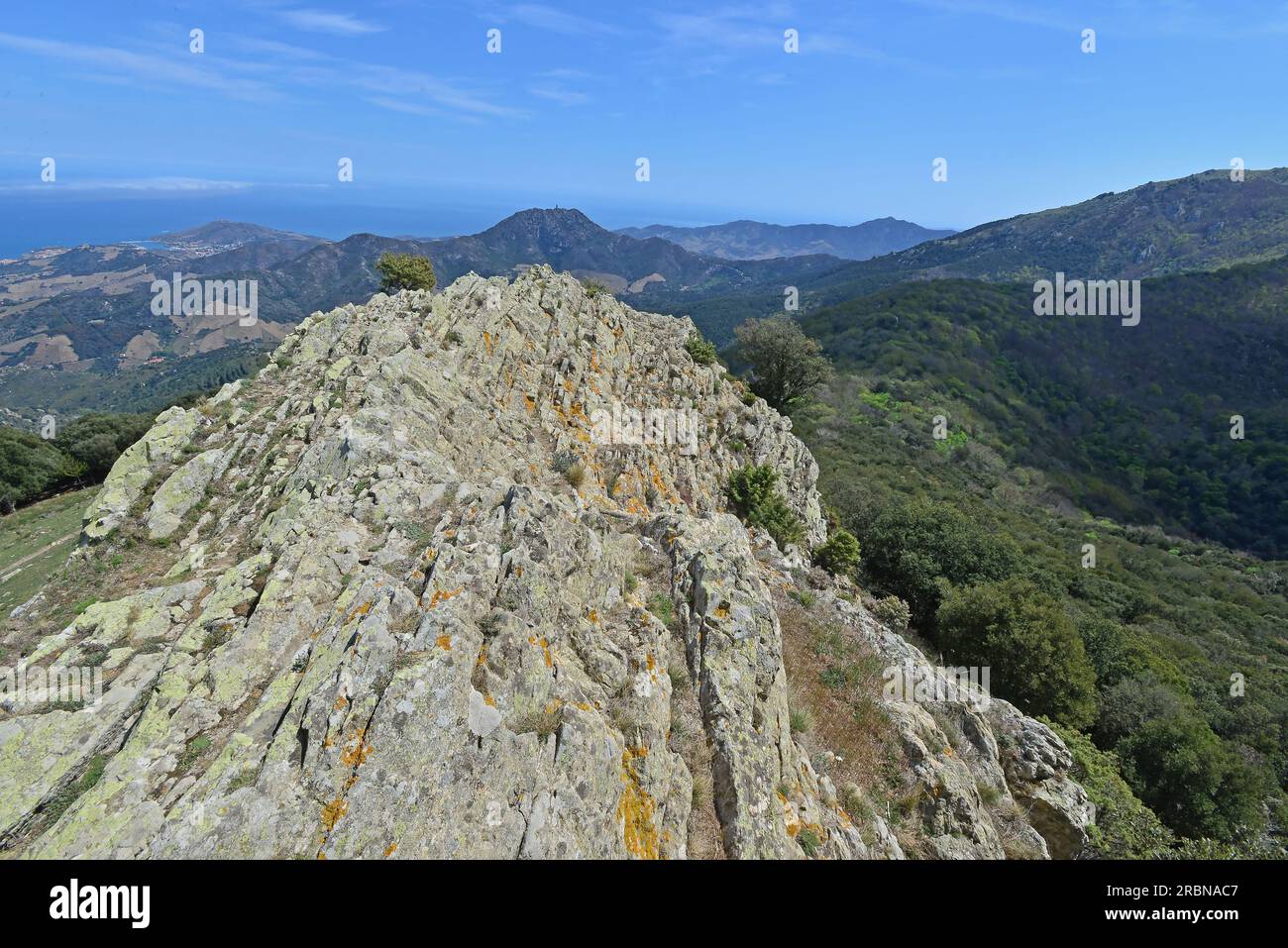 Paysage des montagnes des Alberes et de la côte Vermeille du sud de la France et du nord de l'Espagne Banque D'Images