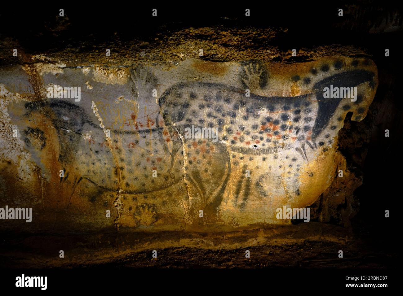 France, Lot (46), Cabrerets, Grotte du Pech Merle, Centre de Préhistoire, les fameux chevaux tachés, les étoiles des 70 animaux dessinés dans la grotte Banque D'Images