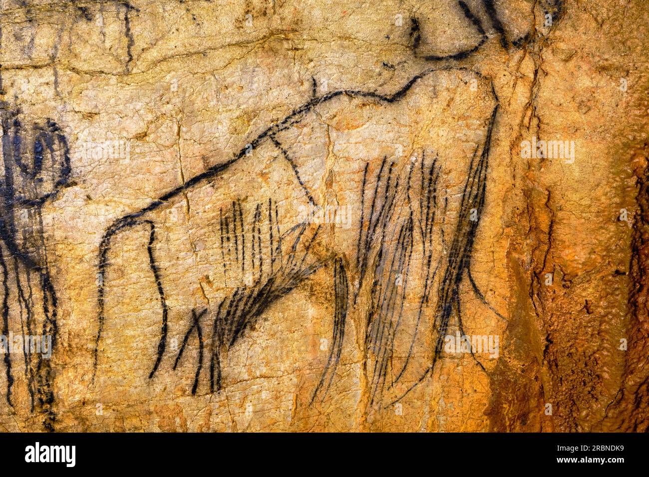 France, Lot (46), Cabrerets, Grotte du Pech Merle, Centre de Préhistoire, dessin de mammouth Banque D'Images