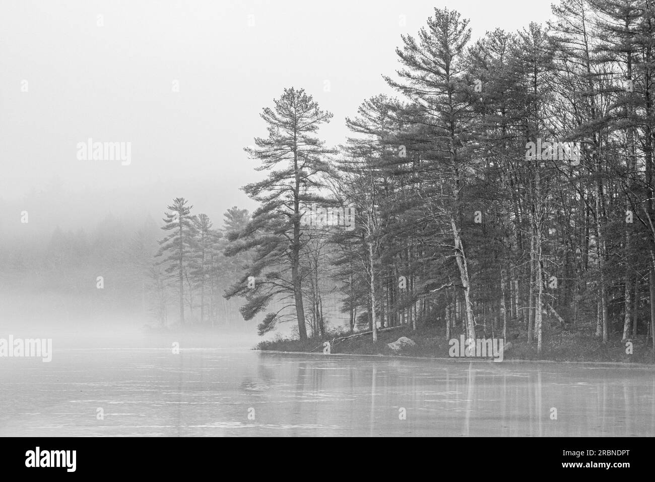 Harvard Pond un jour brumeux Banque D'Images