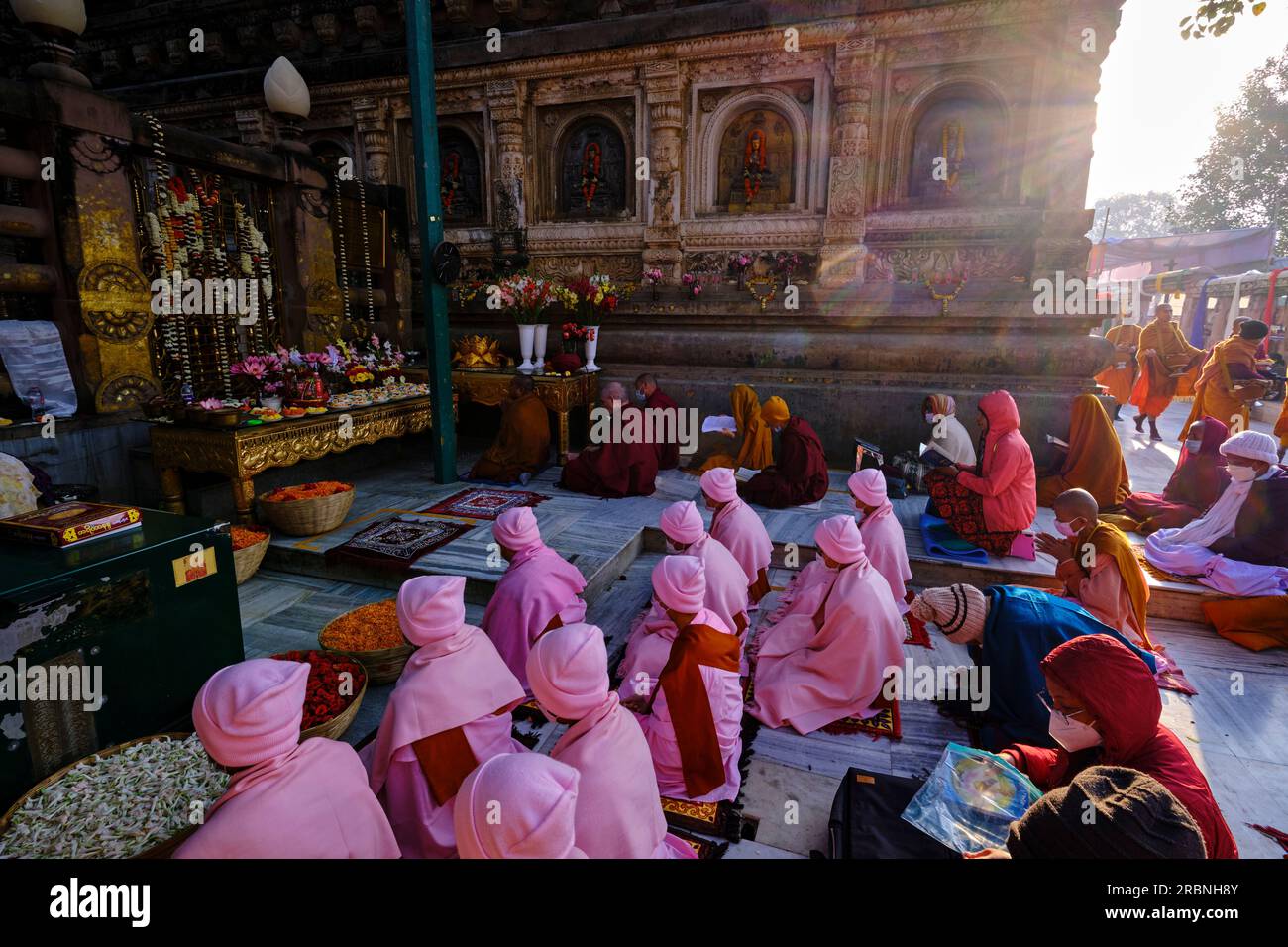 Inde, Bihar, Bodhgaya, UNESCO World Heriatge, le temple Mahabodhi, Religieuses birmanes bouddhistes priant devant l'arbre Bodhi sous lequel le Bouddha a Banque D'Images