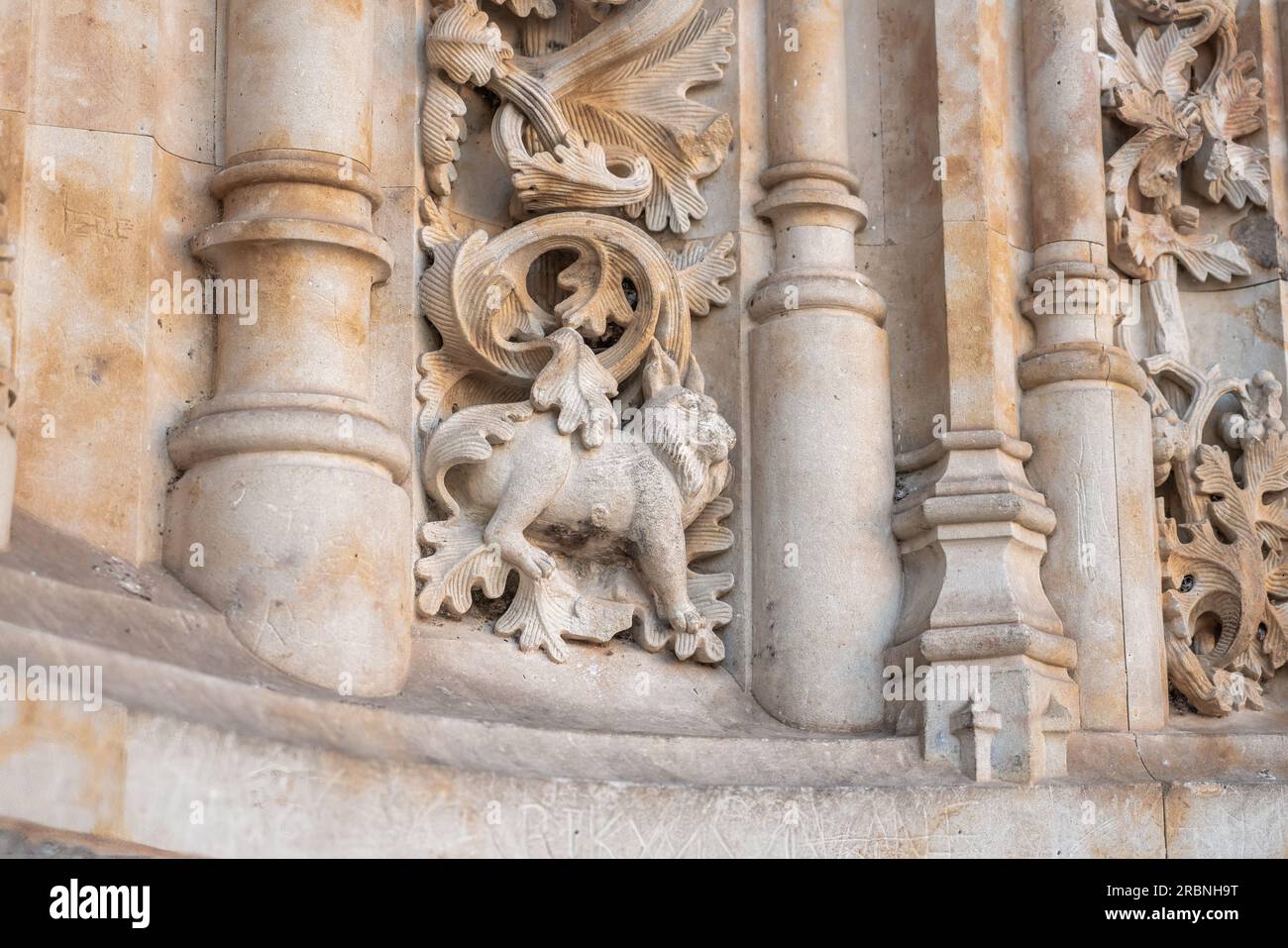 Ibérique Lynx Carving à la façade de la cathédrale de Salamanque - Salamanque, Espagne Banque D'Images