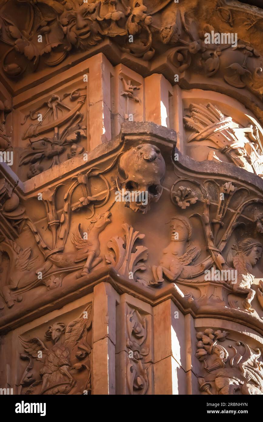 Grenouille et crâne à l'ancienne Université de Salamanque façade Plateresque - Salamanque, Espagne Banque D'Images