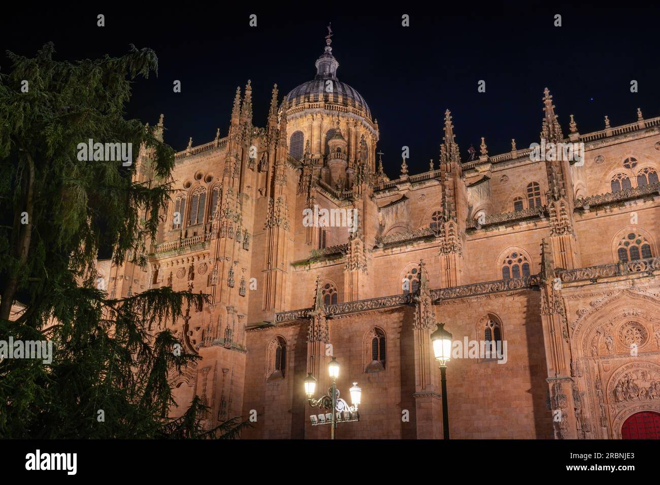 Cathédrale de Salamanque la nuit - Salamanque, Espagne Banque D'Images