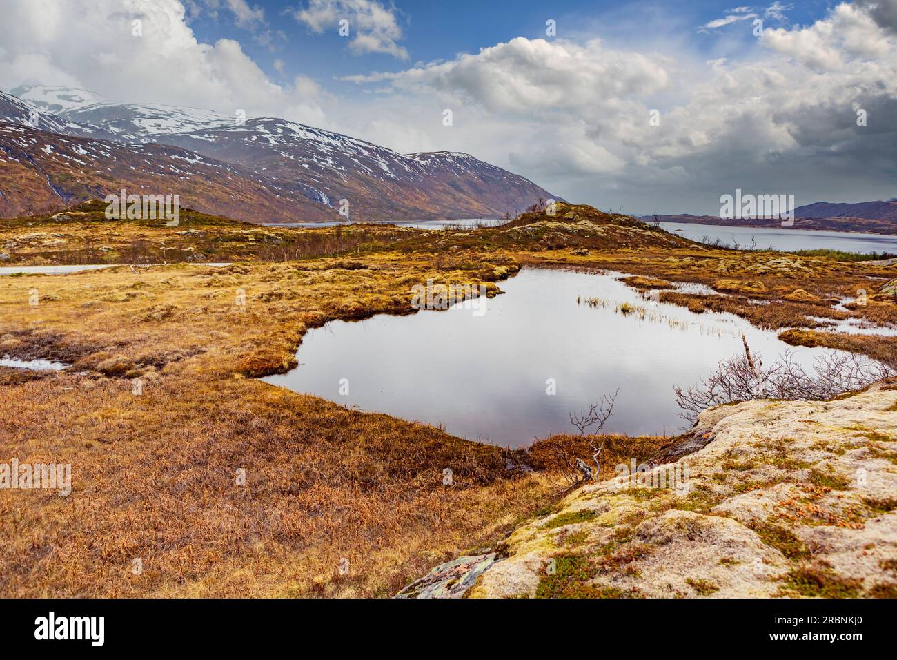 La lande sur l'île de Senja, derrière le cercle arctique en Norvège Banque D'Images