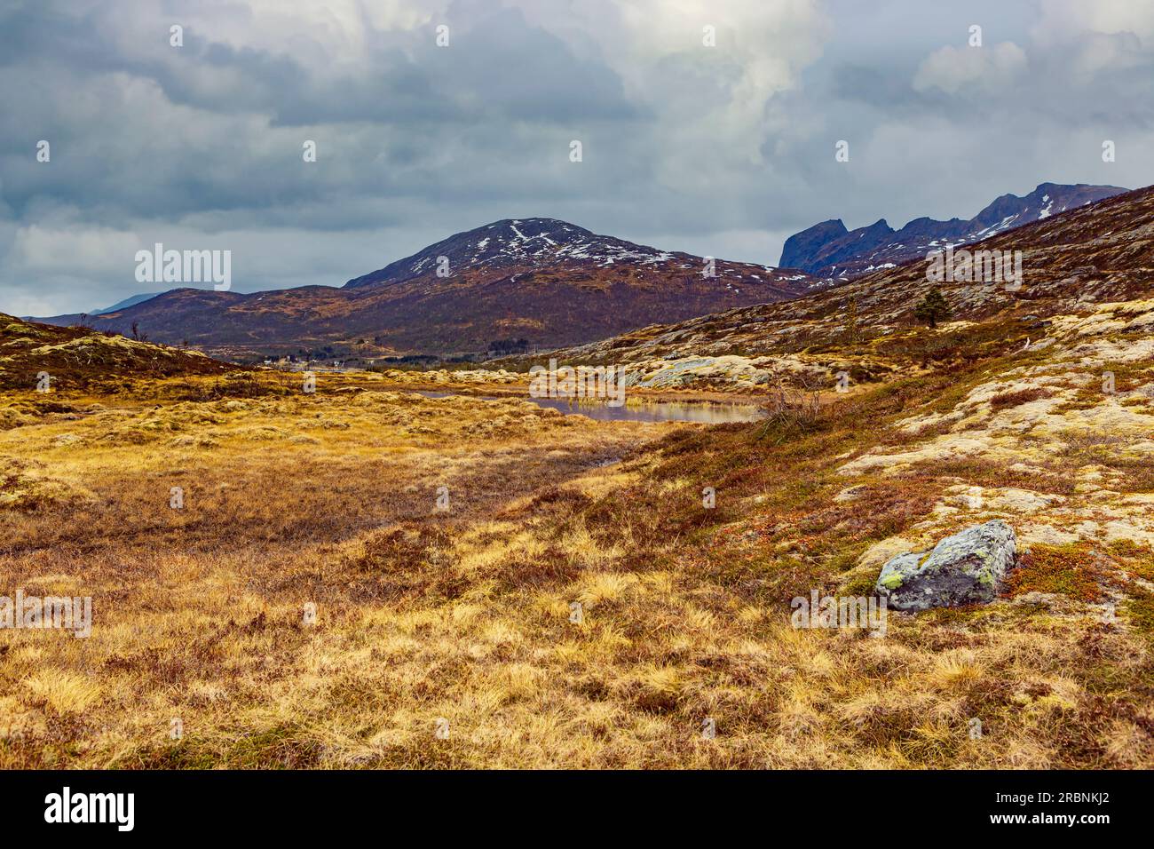 La lande sur l'île de Senja, derrière le cercle arctique en Norvège Banque D'Images