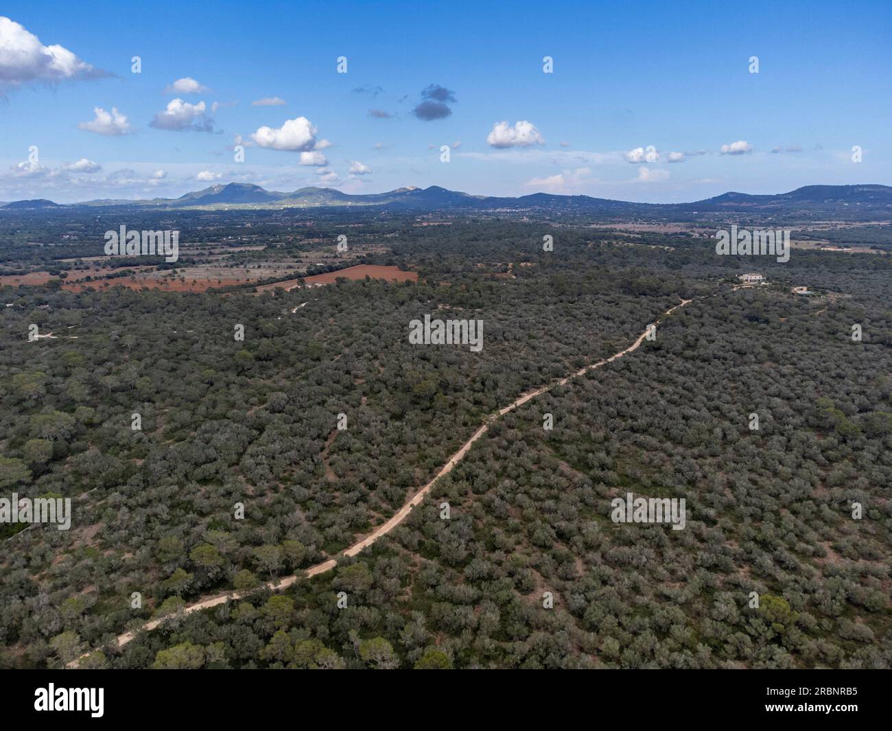 Majorque, Baléares, Espagne. Banque D'Images