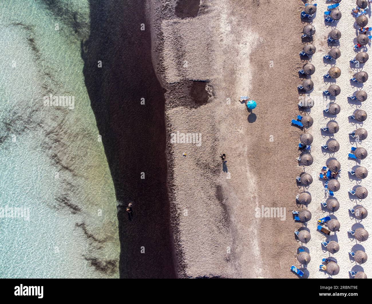 Lignes parapluie pour les touristes, vue aérienne de la plage de sa Rapita, Campos, Majorque, Îles Baléares, Espagne. Banque D'Images
