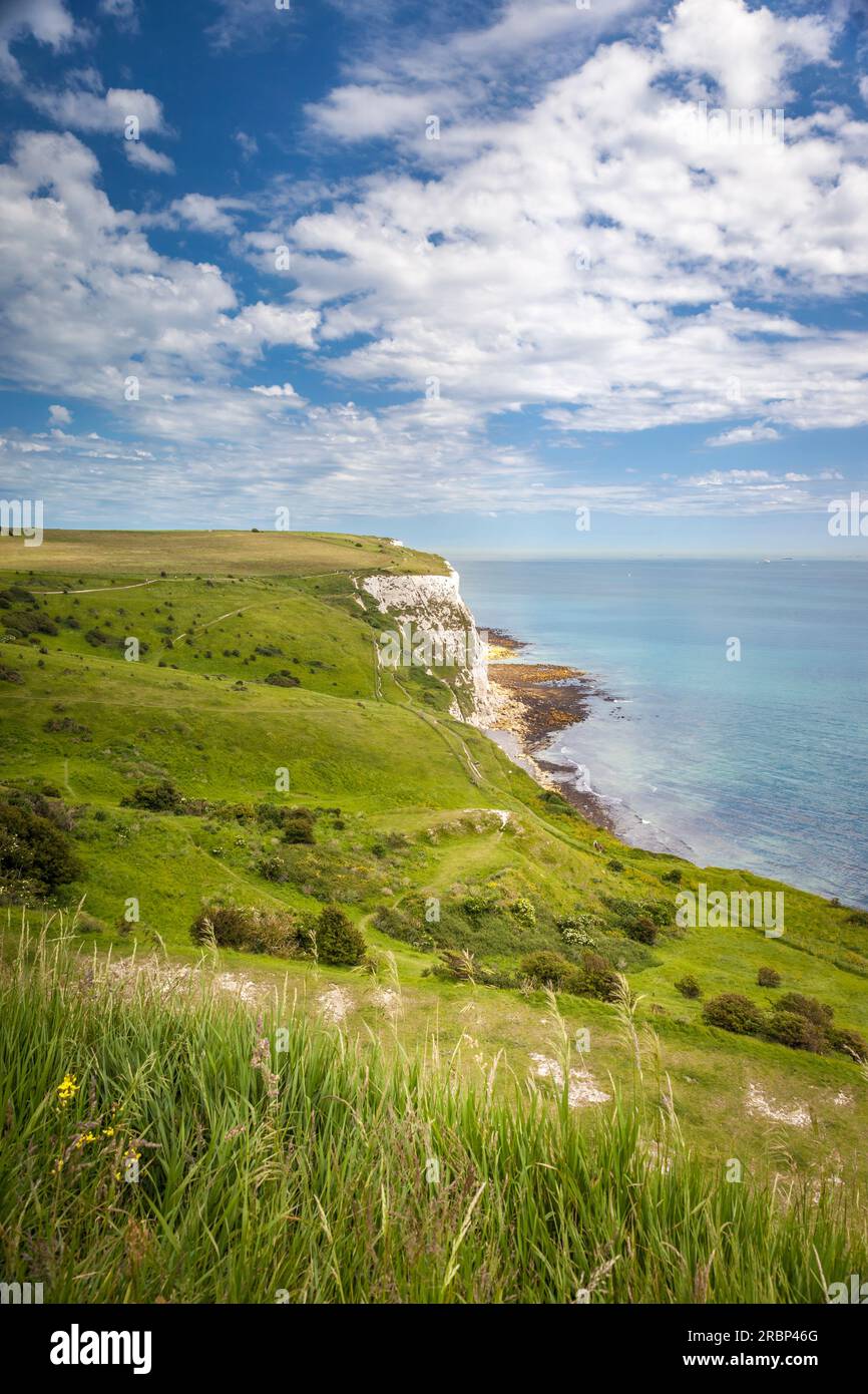 White Cliffs of Dover, Kent, Angleterre Banque D'Images