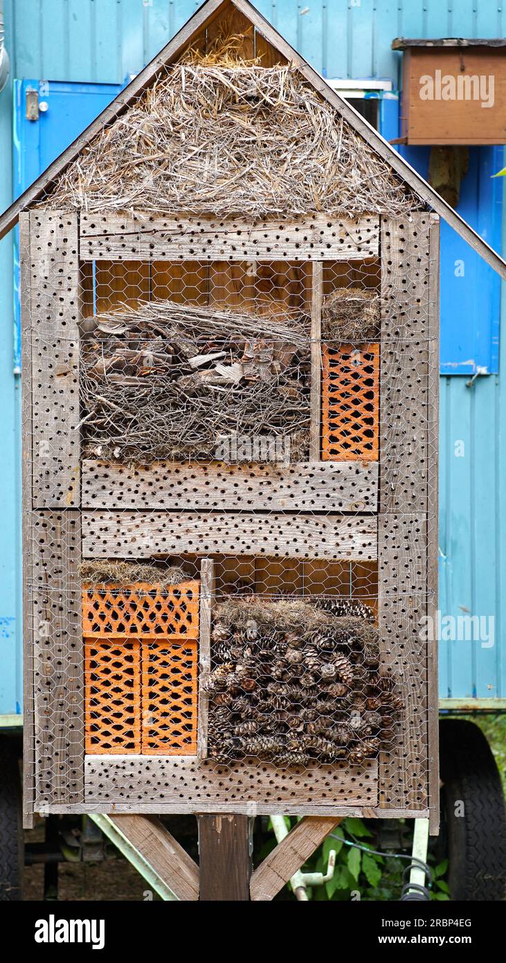 Un hôtel d'insectes sur fond bleu. Banque D'Images