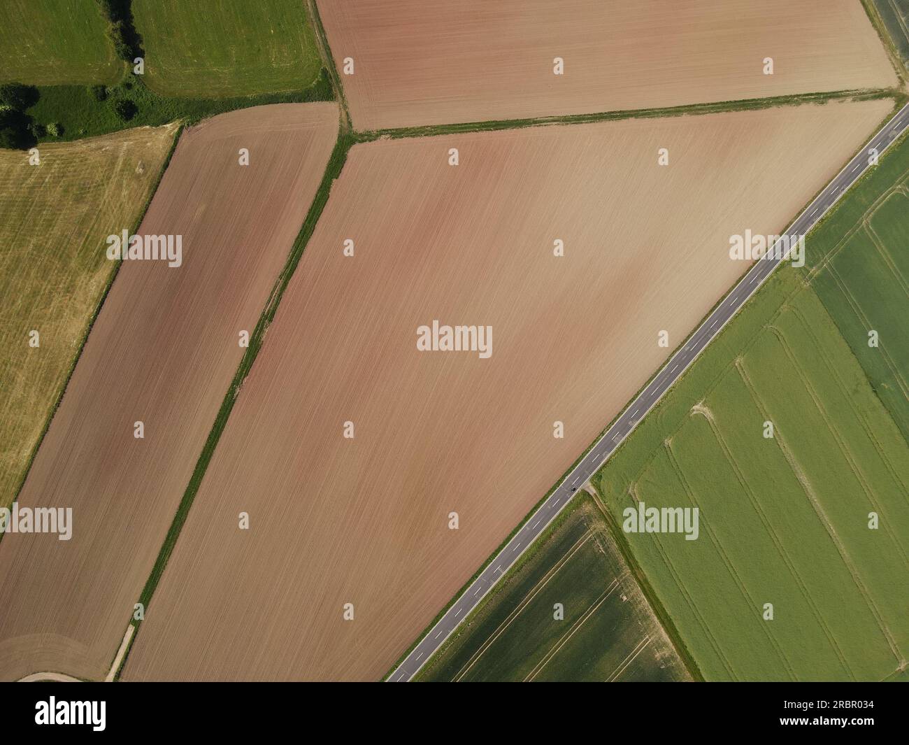 Vue de dessus des champs agricoles avec récolte verte, sol labouré brun et une route asphaltée en été Banque D'Images