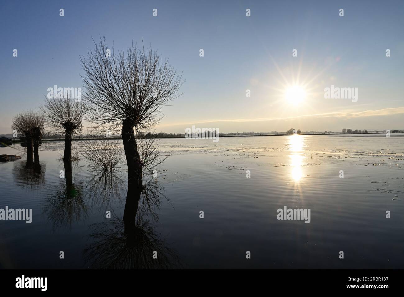 Godney près de Glastonbury Somerset Angleterre. Flooded Fields janvier 2023 Banque D'Images