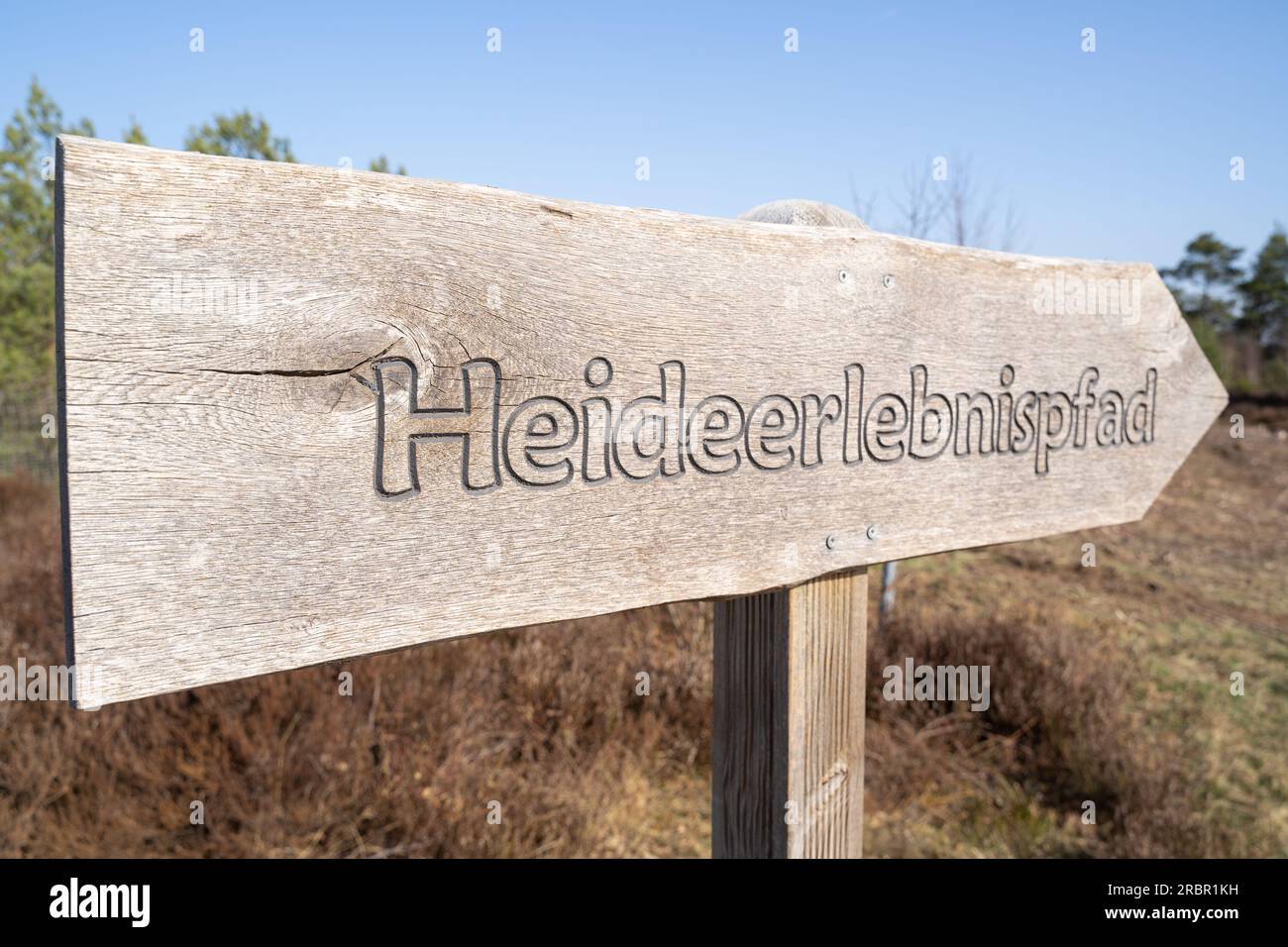 Panneau en bois dans la lande avec l'inscription Heath Adventure Trail en langue allemande Banque D'Images