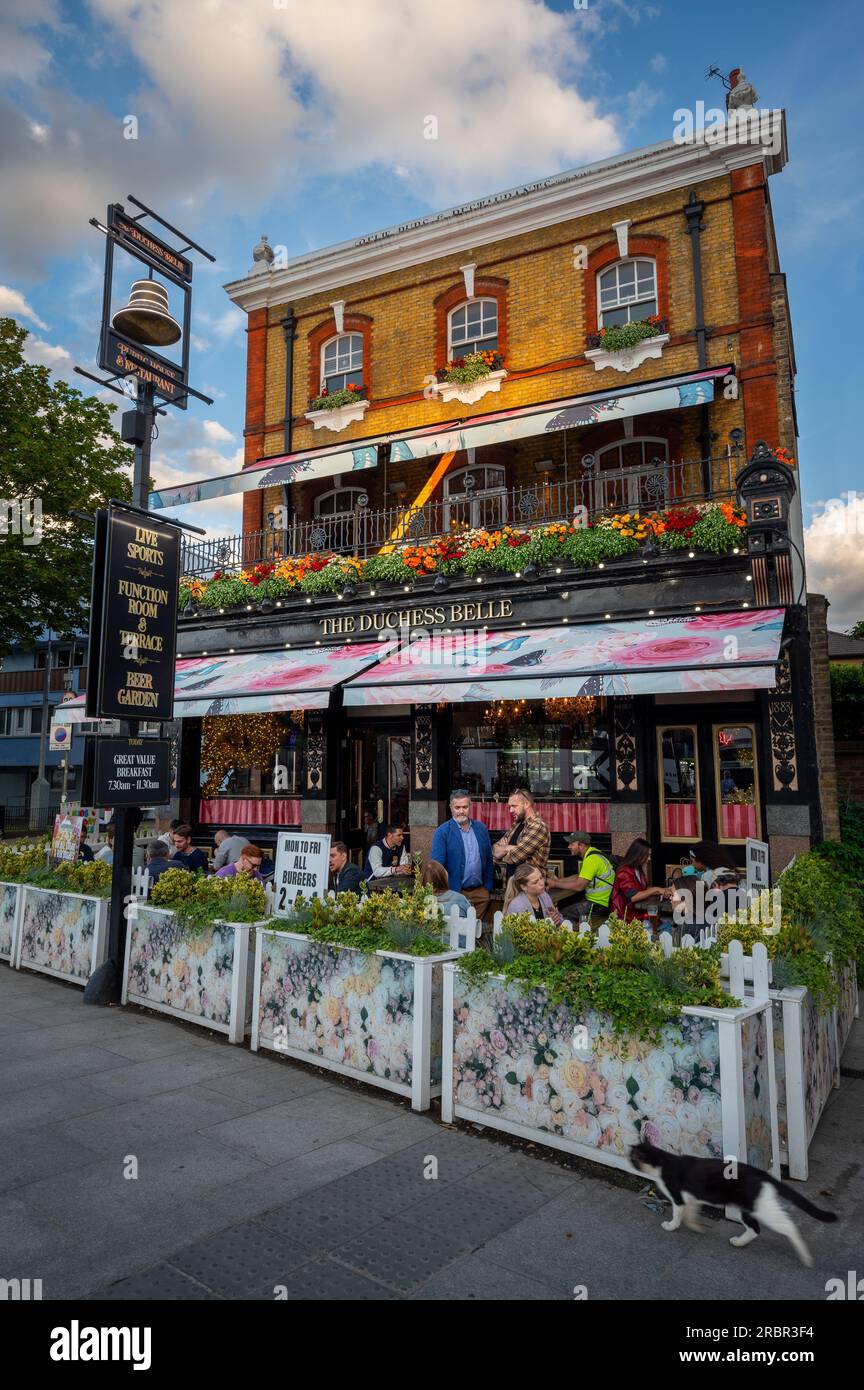 Battersea, Londres, Royaume-Uni : pub Duchess Belle sur Battersea Park Road près de Battersea Power Station. Vue du soir des gens à l'extérieur du pub avec chat Banque D'Images