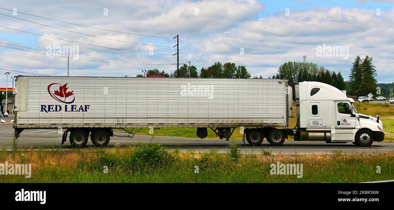 Camion de transport Red Leaf conduisant sur une route latérale avant de rejoindre l'Interstate 5 Washington State USA Banque D'Images