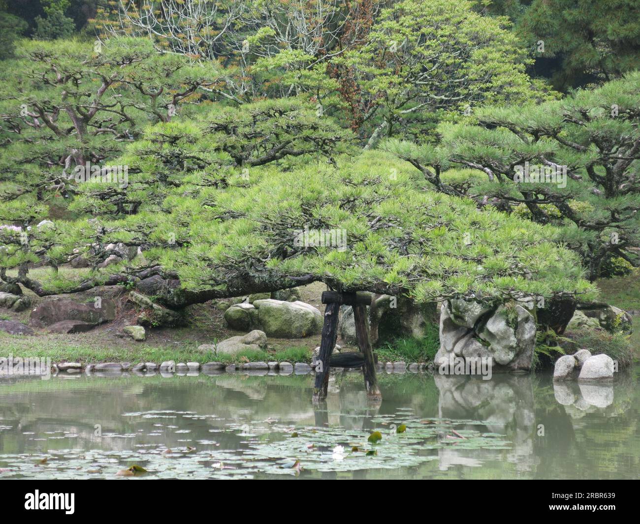Les meilleurs jardins du Japon : Ritsurin Garden a toutes les caractéristiques de conception du jardinage japonais avec des étangs, des pins, l'élagage des nuages, des rochers et des nénuphars. Banque D'Images