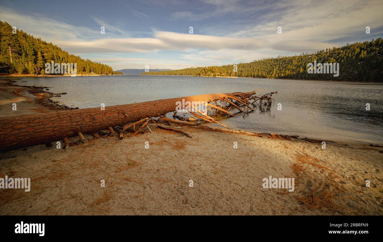 Plage du lac Tahoe dans la lumière du soir | Emerald Bay State Park, South Lake Tahoe, Californie États-Unis Banque D'Images