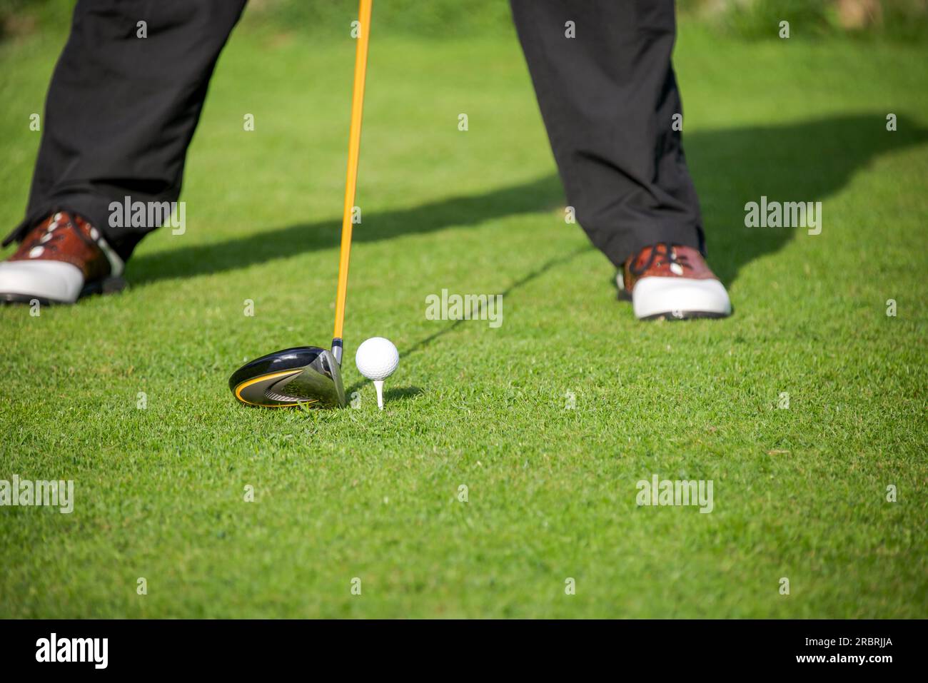 Le golfeur adresse la balle de golf avec le conducteur dans la boîte de départ Banque D'Images