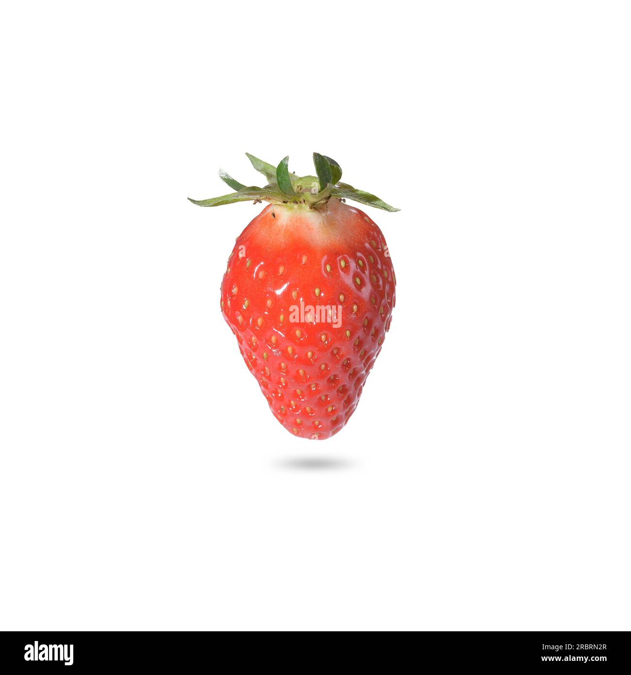 Close-up d'une fraise mûre, source naturelle de vitamine C, de potassium et des antioxydants, avec ombre, sur fond blanc Banque D'Images