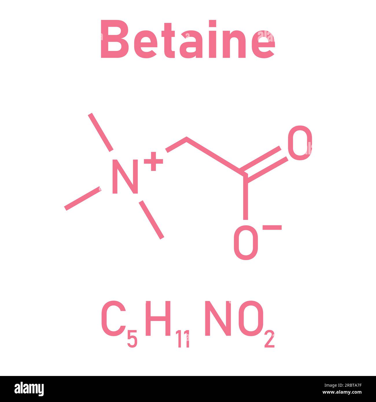 Structure chimique de la bétaïne (C5H11NO2). Ressources chimiques pour les enseignants et les étudiants. Illustration vectorielle. Illustration de Vecteur