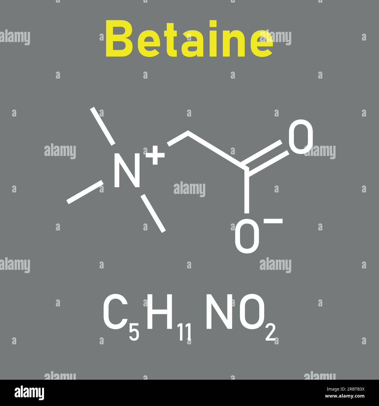 Structure chimique de la bétaïne (C5H11NO2). Ressources chimiques pour les enseignants et les étudiants. Illustration vectorielle. Illustration de Vecteur