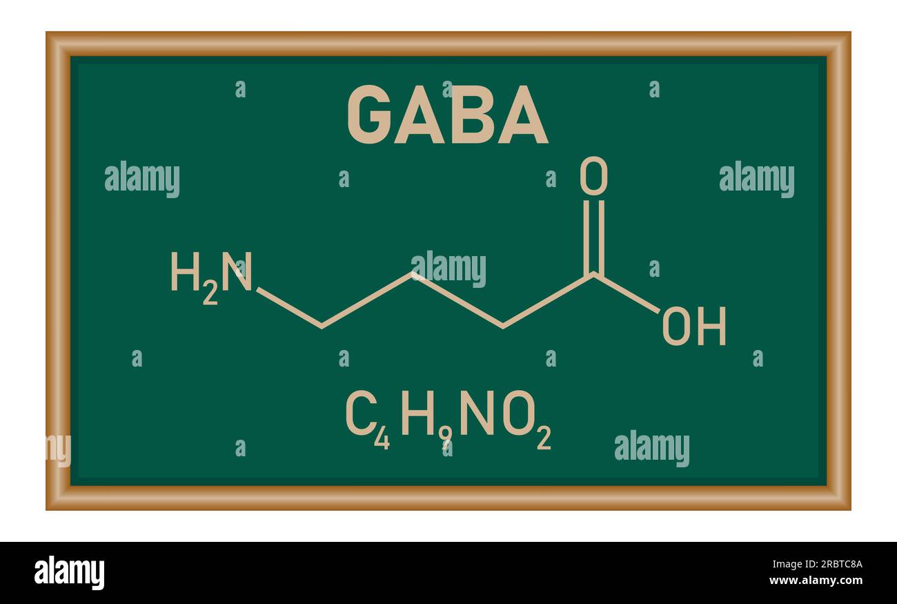 Structure chimique de l'acide γ-aminobutyrique ou gamma-aminobutyrique ou GABA (C4H9NO2). Ressources chimiques pour les enseignants et les étudiants. Illustration vectorielle Illustration de Vecteur