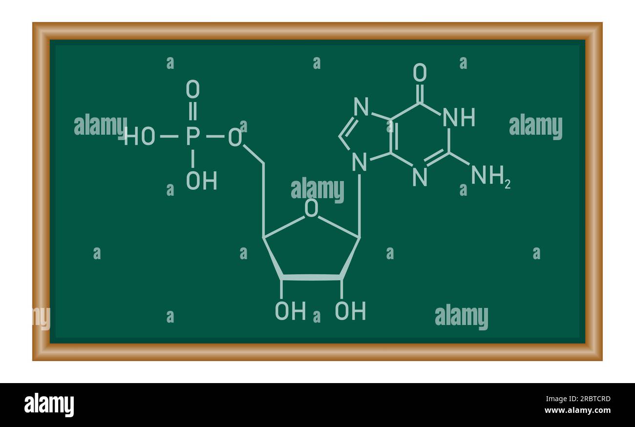 Structure chimique du nucléotide d'ADN. Trois parties d'un nucléotide. Groupe phosphate, sucre pentose et base azotée. Acides nucléiques. Chimie resou Illustration de Vecteur