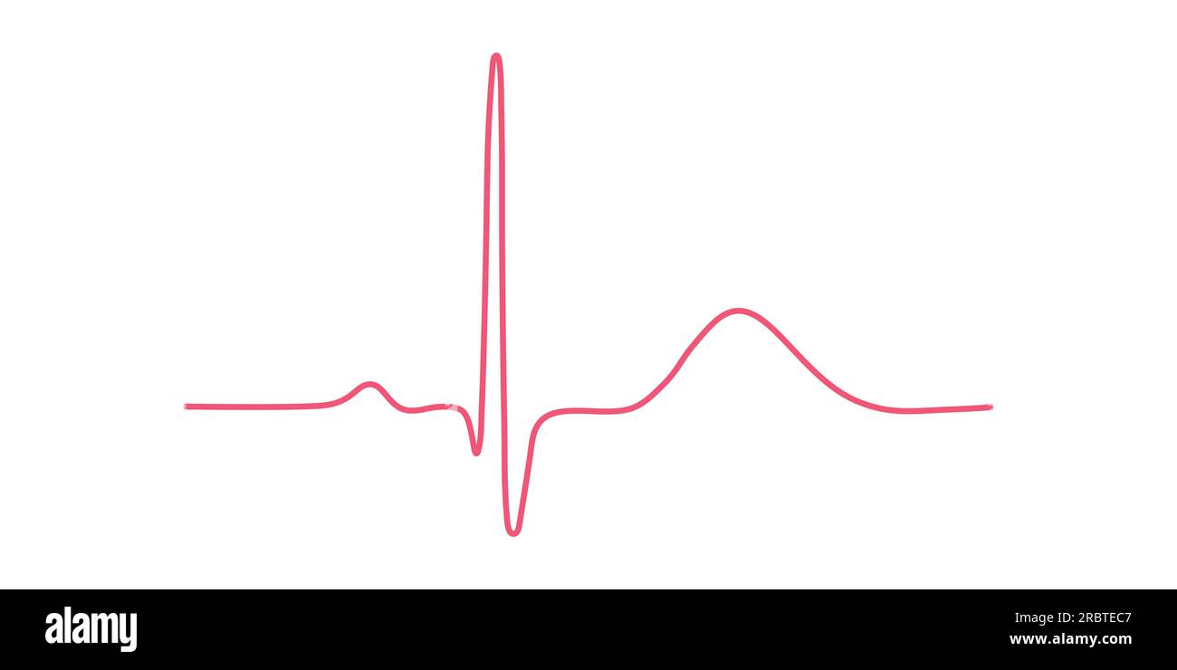 Repolarisation ventriculaire, onde T. L'intervalle QT de l'ECG. Le cycle cardiaque. ECG du coeur en rythme sinusal normal. Illustration de Vecteur