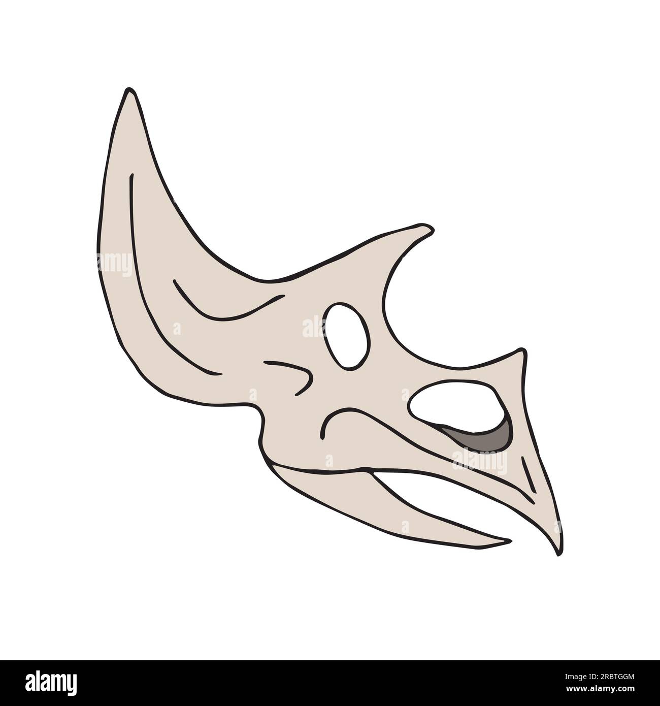Crâne de dinosaure triceratops dessiné à la main vecteur Illustration de Vecteur