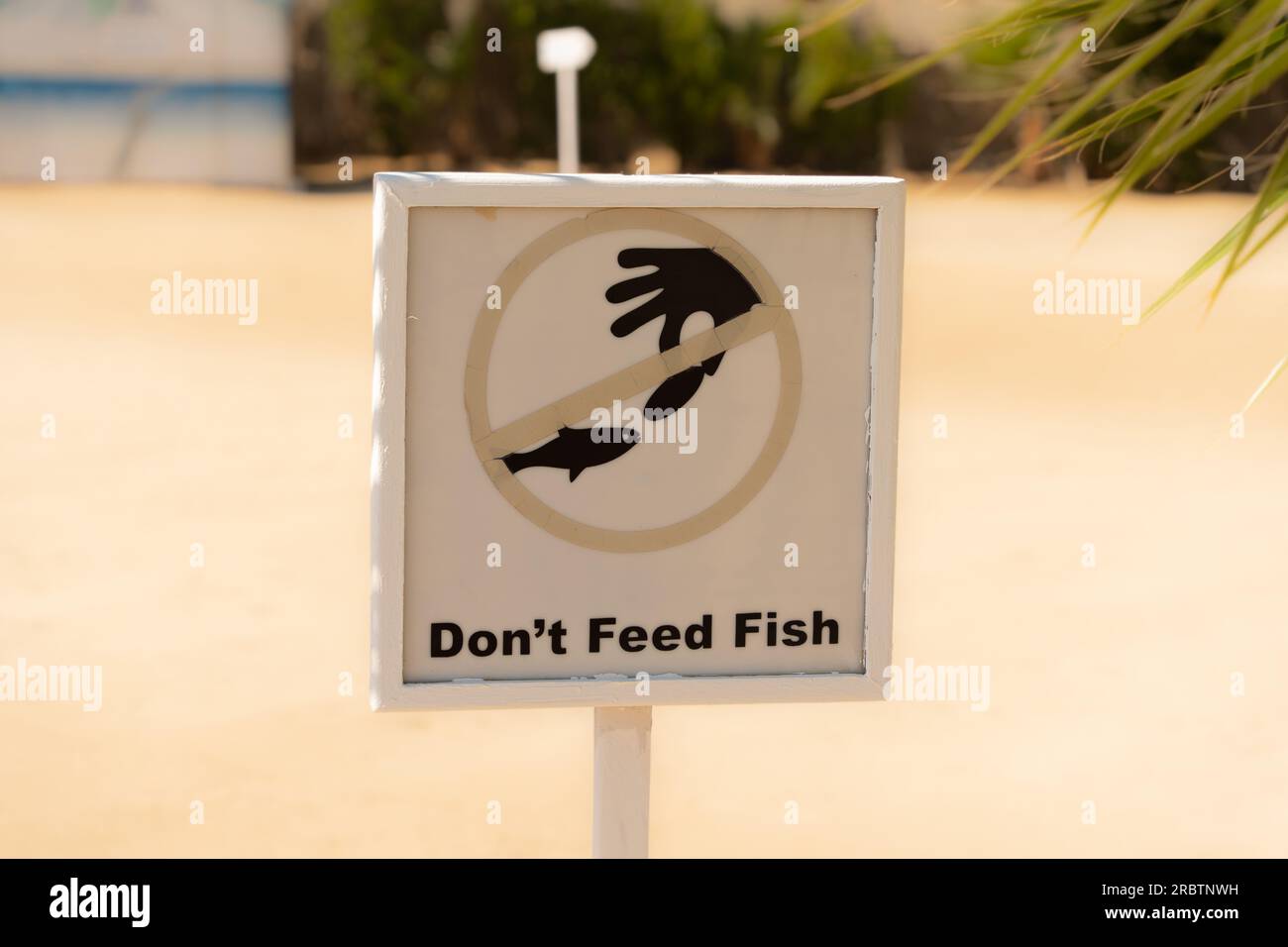 Ne pas nourrir assiette de poisson, restriction, avertissement, autocollant de sécurité Banque D'Images
