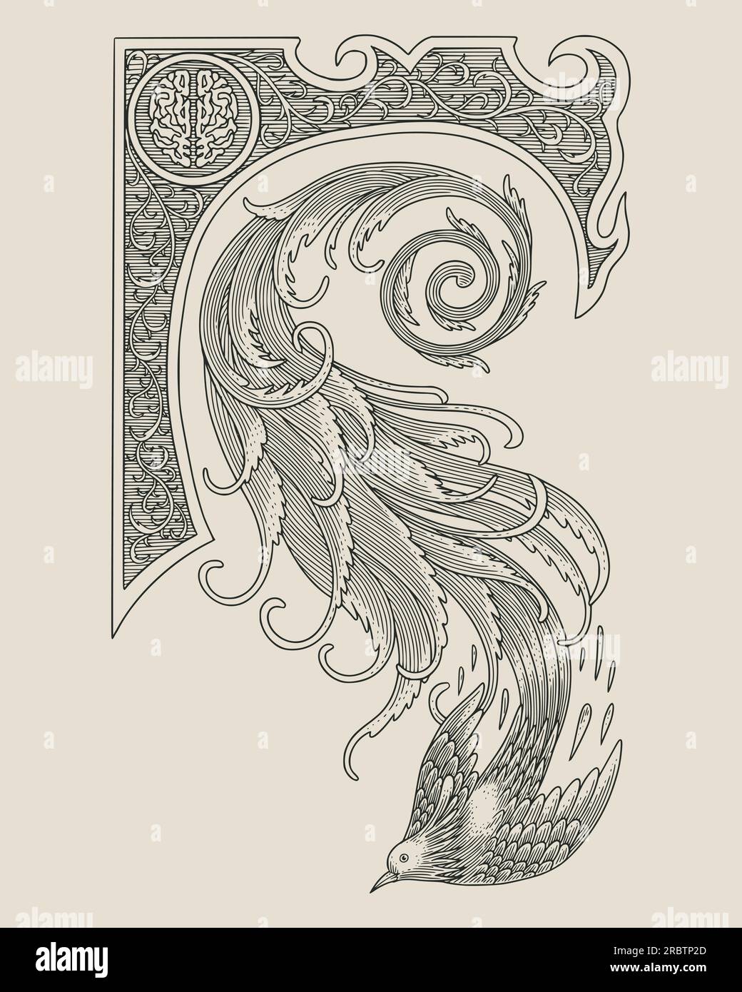 Oiseau avec ornement floral et cadre. illustration de style dessin gravure vintage Illustration de Vecteur