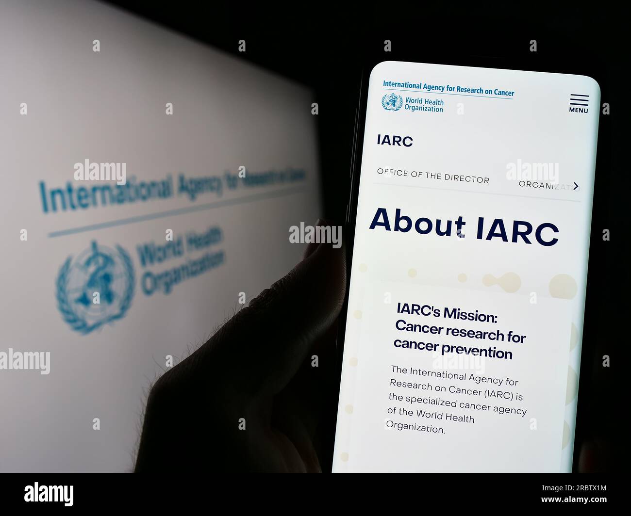 Personne tenant un téléphone portable avec la page Web du Centre international de recherche sur le cancer (CIRC) à l'écran avec logo. Concentrez-vous sur le centre de l'écran du téléphone. Banque D'Images