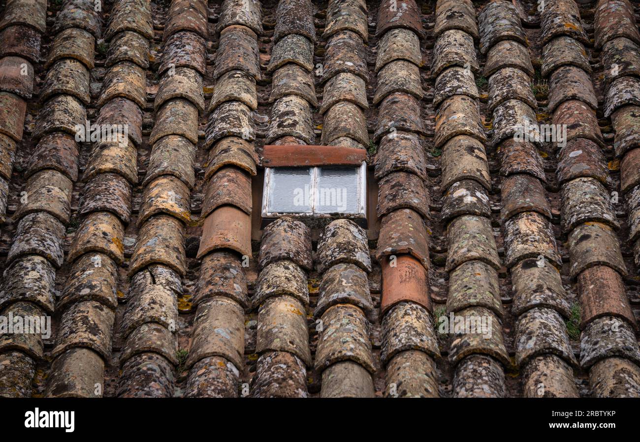 Un toit rustique avec de vieilles tuiles décolorées, érodées par les pluies et le passage du temps sur lequel les lichens et les mousses ont poussé. Banque D'Images