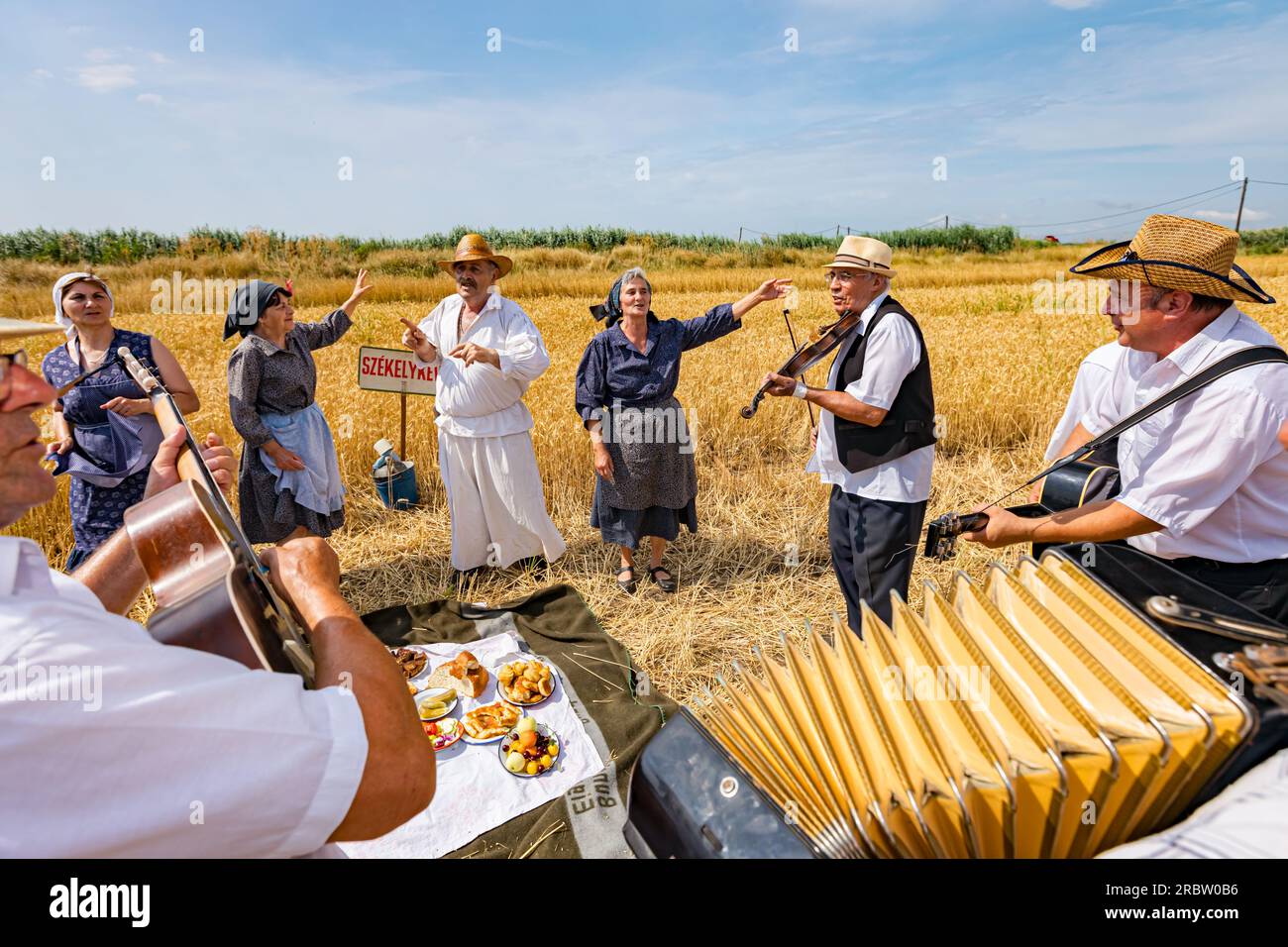 Muzlja, Voïvodine, Serbie, - 02 juillet 2022; XXXIX récolte traditionnelle de blé. Accordéoniste étire des soufflets d'accordéon. Musique pour le succès befo Banque D'Images