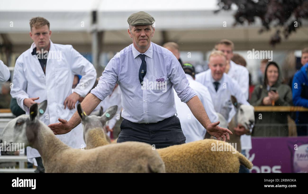 Agriculteurs montrant leurs moutons au Royal Highland Show, Édimbourg, 2023. Banque D'Images