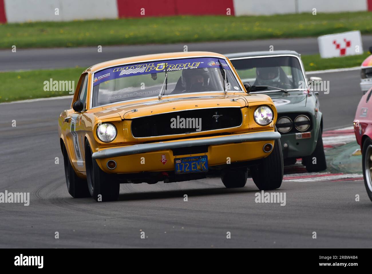 Peter Hallford, Ford Mustang, un événement mettant en vedette deux grilles distinctes, DRHC Dunlop Allstars pour les voitures de sport, GT et Touring pré-1966. Le Allstars resul Banque D'Images