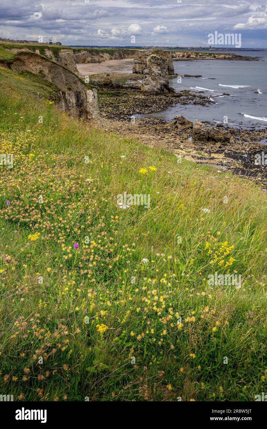 Vue en haut d'une falaise sur les sables de Marsden et Marsden Rock. Au loin, vous pouvez juste distinguer les pirs et les phares à Tynemouth Banque D'Images