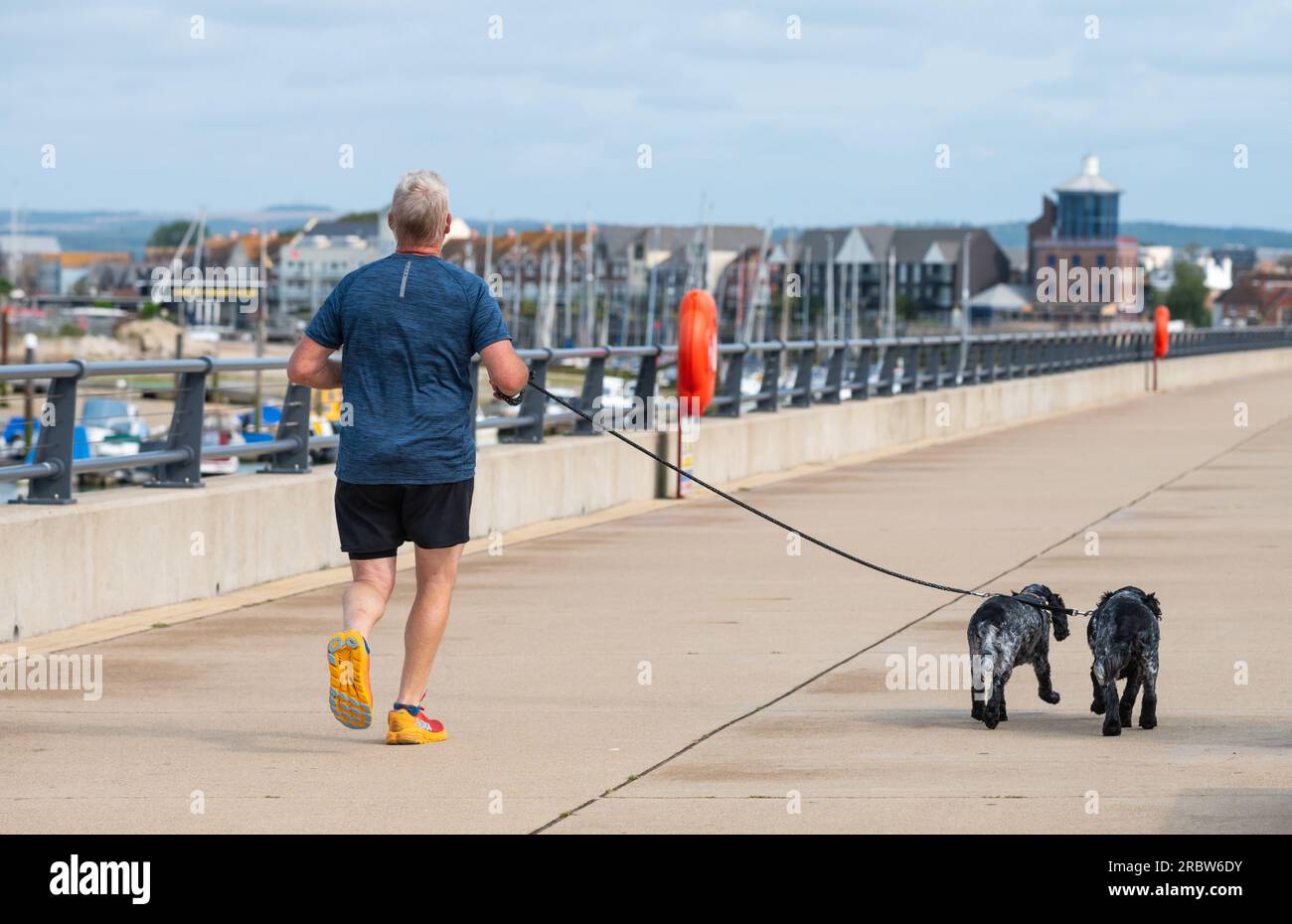 Homme jogging ou course le long du chemin de halage de la rivière avec 2 chiens faisant de l'exercice matinal, en été en Angleterre, Royaume-Uni. Banque D'Images