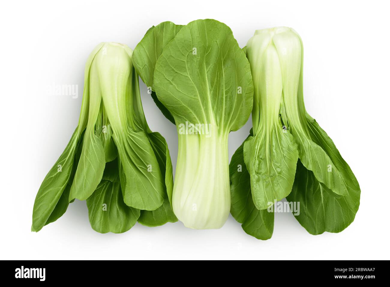 Chou frais pak choi isolé sur fond blanc. Vue de dessus. Pose à plat Banque D'Images