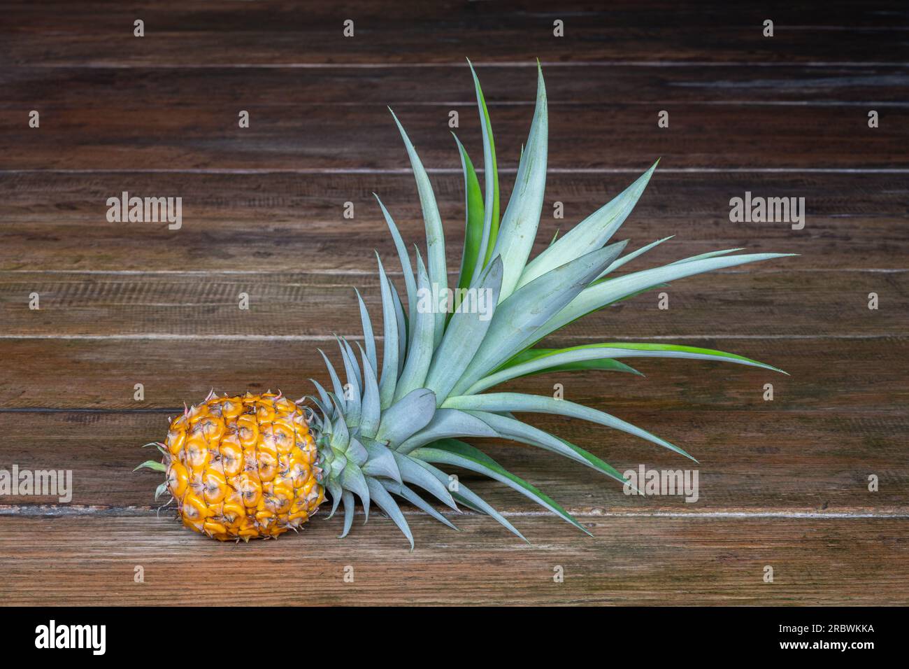 Vue rapprochée de petits fruits mûrs d'ananas ou ananas comosus avec des feuilles isolées sur fond de bois foncé Banque D'Images