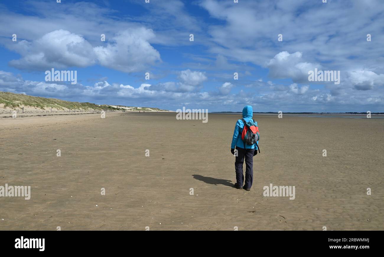 Naturschutzgebiet Amrum-Odde, la pointe nord d'Amrum, Allemagne Banque D'Images