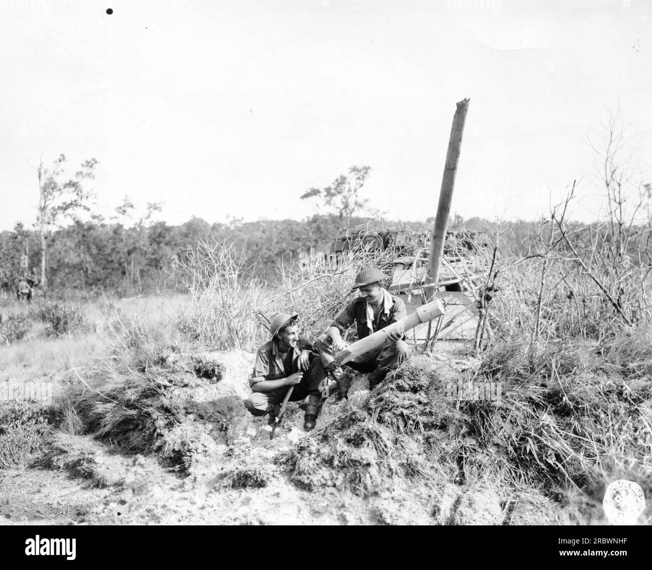 Un canon antiaérien japonais camouflé utilisé pendant la première Guerre mondiale. Banque D'Images