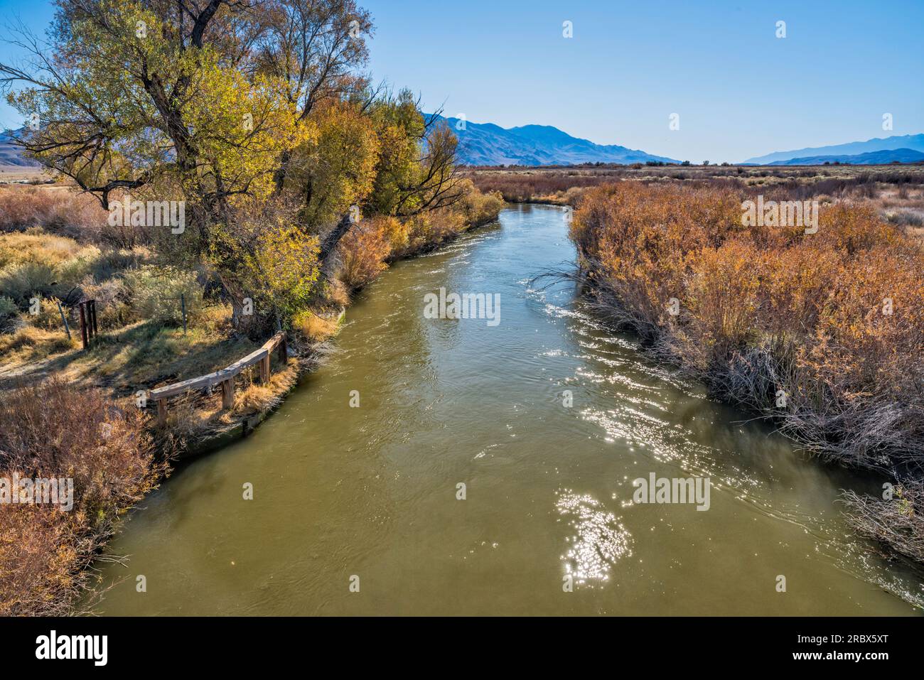 Rivière Owens dans la vallée d'Owens, Sierra Nevada en loin, fin d'automne, près de Big Pine, Californie, États-Unis Banque D'Images