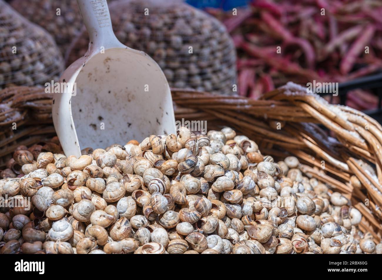 Escargots à vendre sur le marché alimentaire à Palerme, Italie Banque D'Images