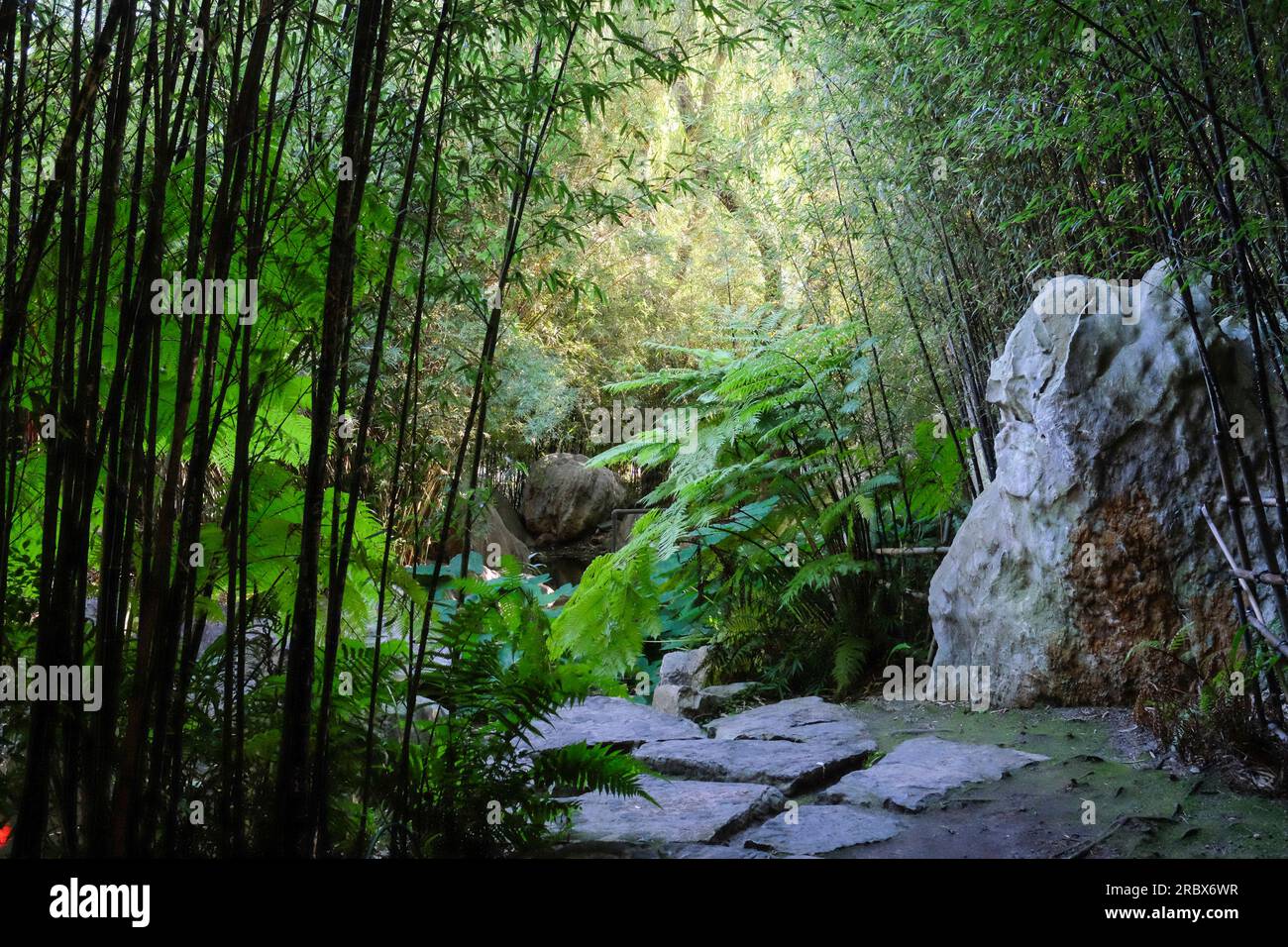 Jardin chinois de l'amitié Banque D'Images