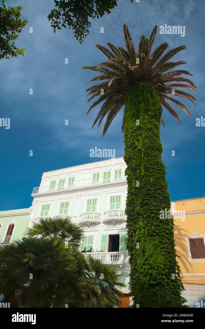 Carloforte, Île de San Pietro, Sardaigne, Italie, Europe Banque D'Images