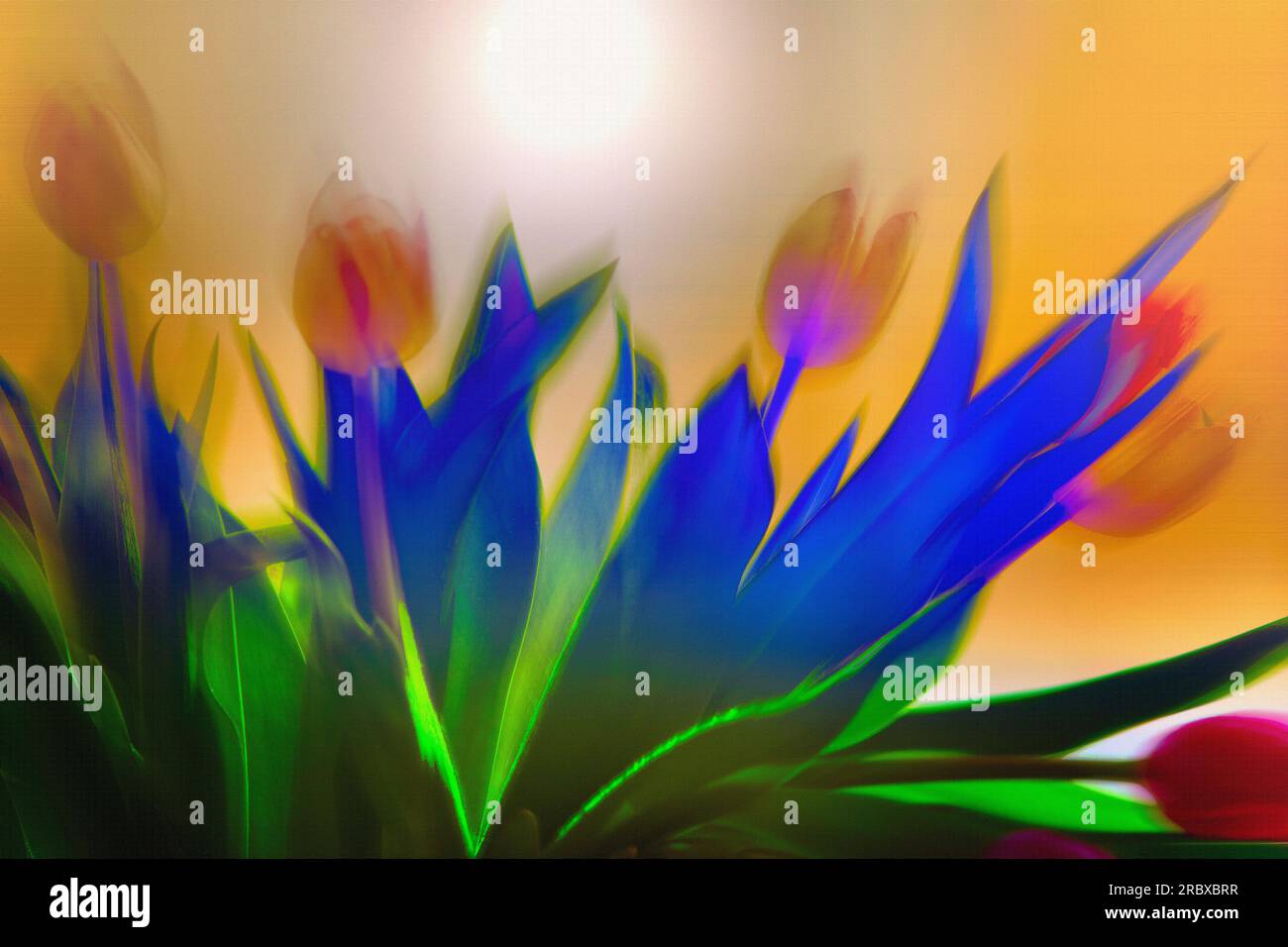 ART NUMÉRIQUE CONTEMPORAIN : tulipes d'Amsterdam Banque D'Images